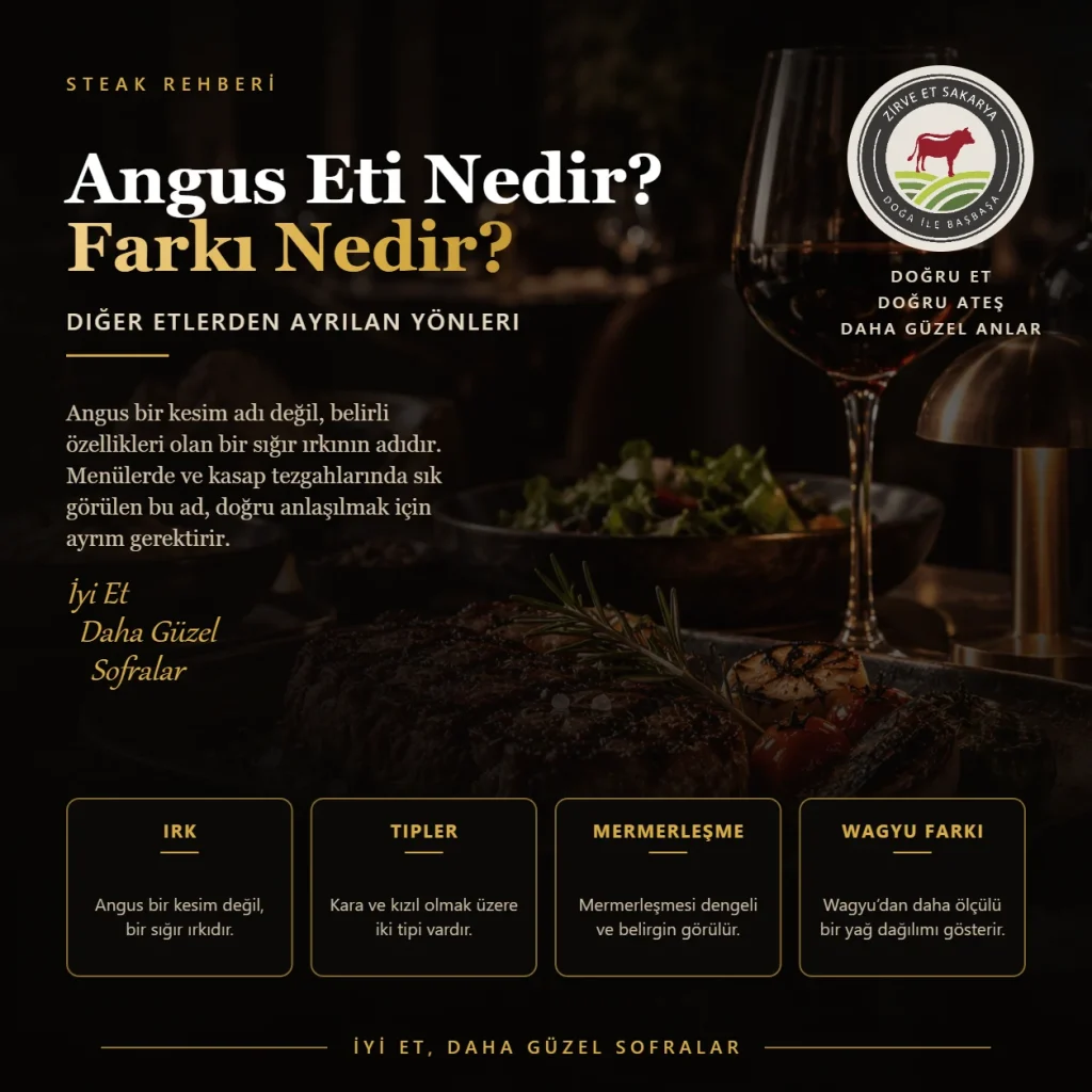 Angus Eti Nedir? Diğer Etlerden Farkı Nedir?